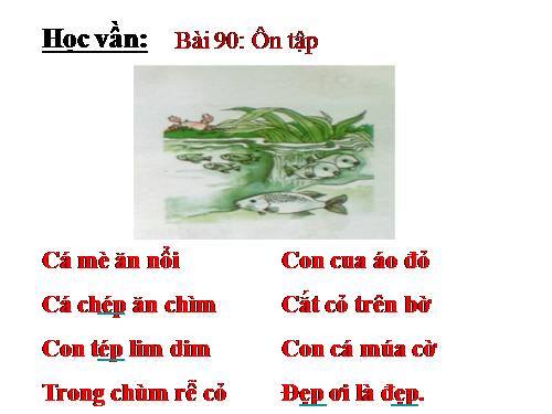 Bài 90. Ôn tập