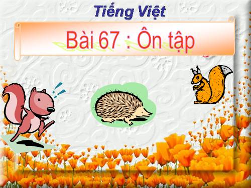 Bài 11. Ôn tập