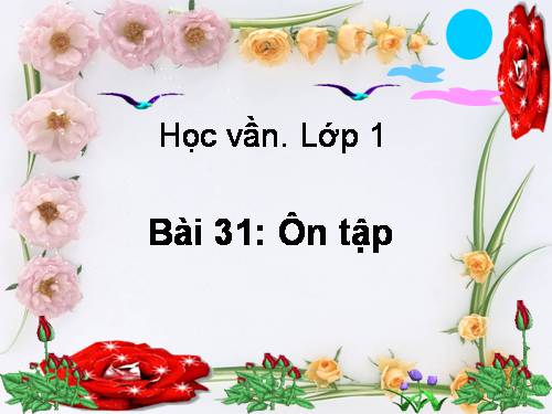 Bài 31. Ôn tập