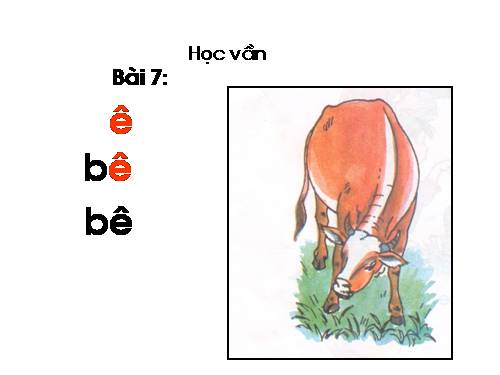 Bài 7. ê, v