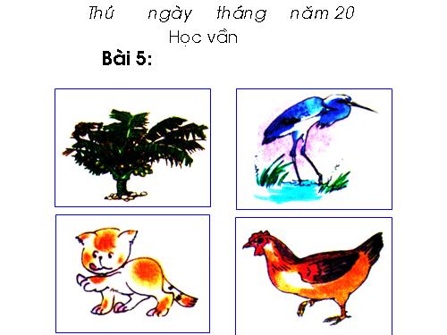 Bài 5. dấu huyền, dấu ngã