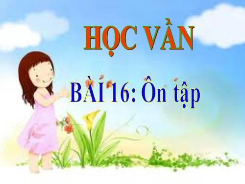 Bài 16. Ôn tập