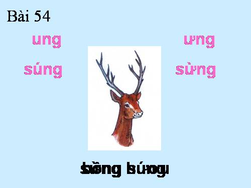 Bài 54. ung, ưng