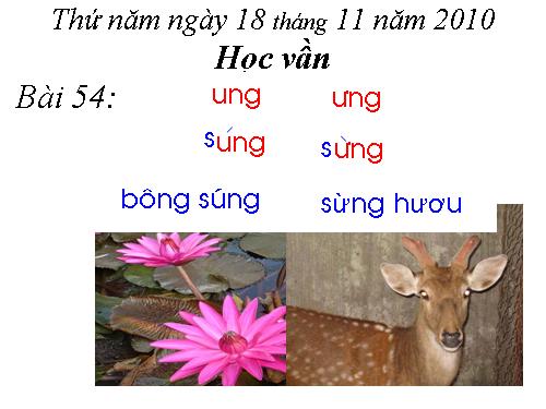 Bài 54. ung, ưng