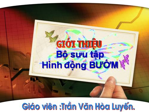 Hình động Bướm xinh