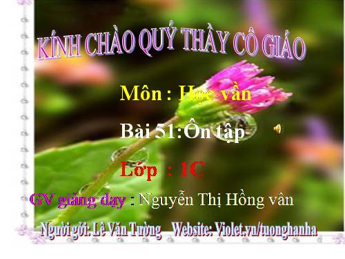 Bài 51. Ôn tập