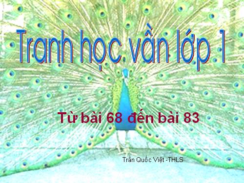 Tranh HV 1 hỗ trợ GA PPT(bài 68 -83)