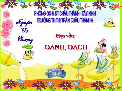 Bài 95. oanh, oach