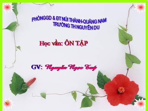 Bài 90. Ôn tập
