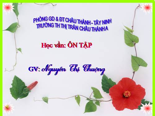 Bài 90. Ôn tập