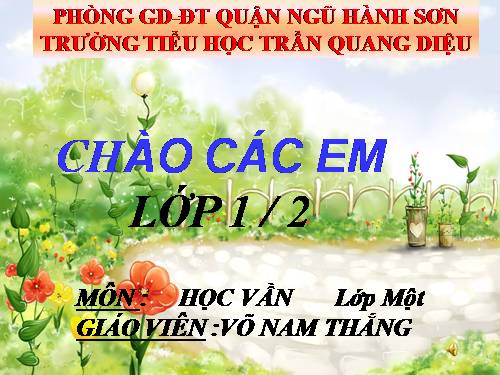 Bài 51. Ôn tập