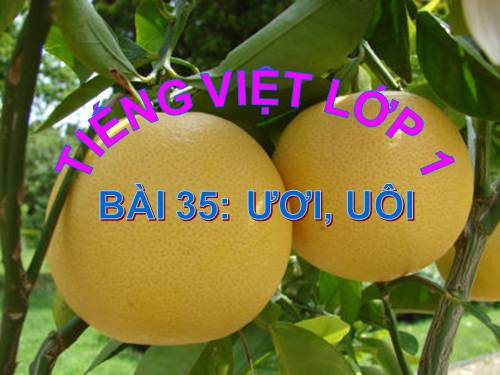 Bài 35. uôi, ươi