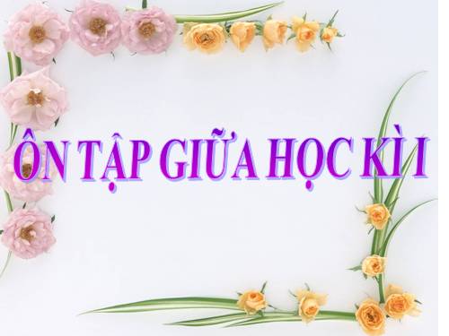 ôn tập giữa học kì I