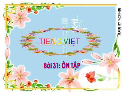 Bài 31. Ôn tập