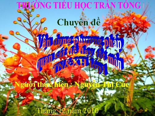 CHUYÊN ĐỀ CÔ CÚC