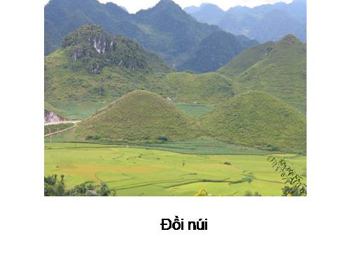 Hình ảnh bài 34,ui,ưi