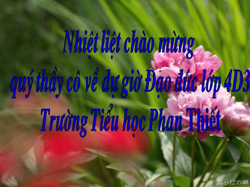 Soan day theo du an Viet- Bi