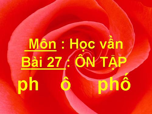 Bài 27. Ôn tập