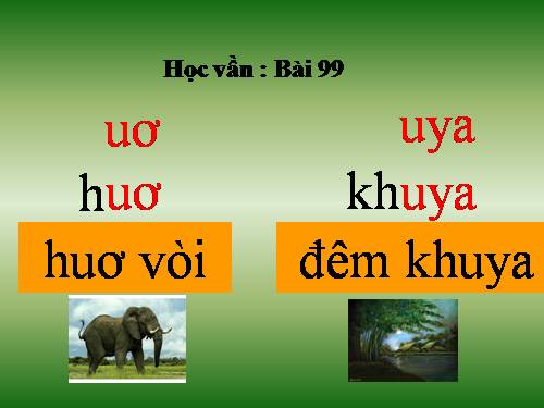 Bài 99. uơ, uya