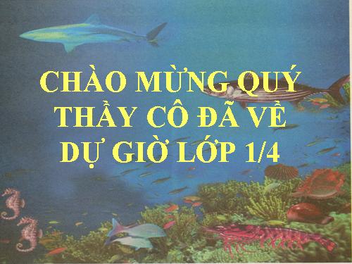 Bài 35. uôi, ươi