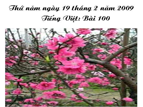 Bài 100. uân, uyên