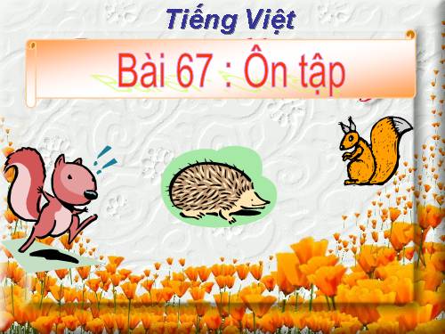 Bài 67. Ôn tập