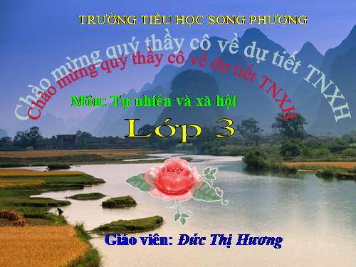 Bài 13. Hoạt động thần kinh