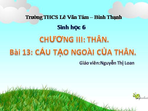 Bài 13. Cấu tạo ngoài của thân