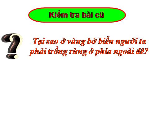 Bài 48. Vai trò của thực vật đối với động vật và đối với đời sống con người