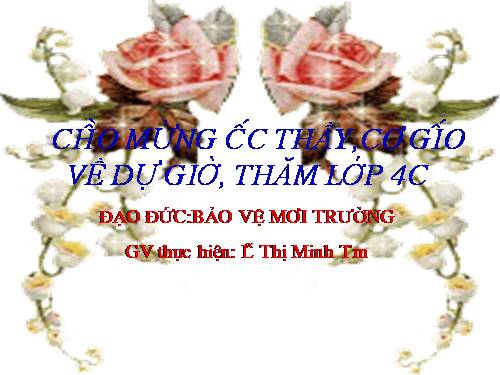 Bài 14. Bảo vệ môi trường