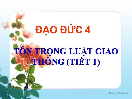 Bài 13. Tôn trọng luật giao thông