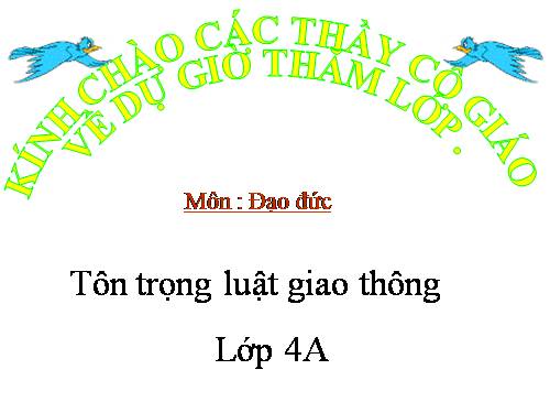 Bài 13. Tôn trọng luật giao thông