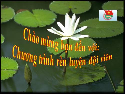 Tiêu chuẩn rèn luyện đội viên