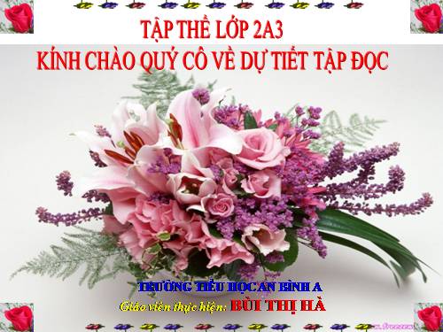 Tuần 10. Sáng kiến của bé Hà