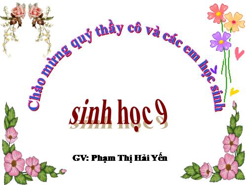 Bài 22. Đột biến cấu trúc nhiễm sắc thể