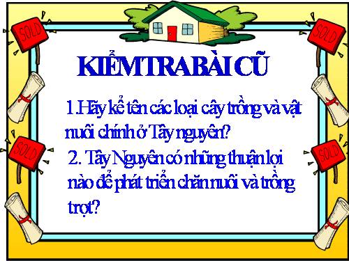 Bài 7-8. Hoạt động sản xuất của người dân ở Tây Nguyên