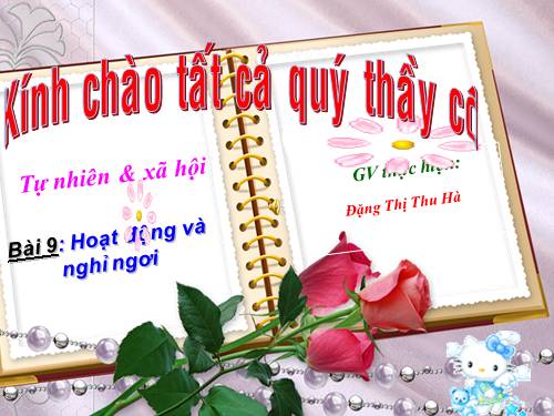 Bài 9. Hoạt động và nghỉ ngơi