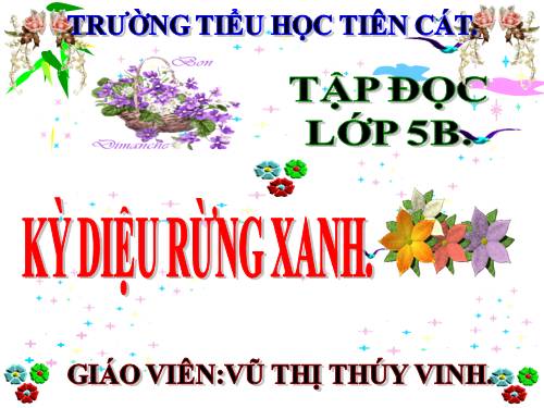 Tuần 8. Kì diệu rừng xanh