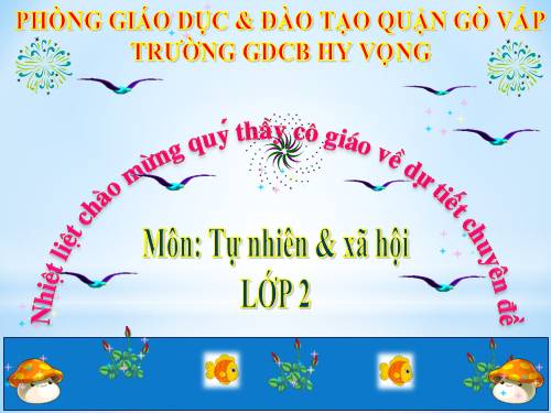 Bài 27. Loài vật sống ở đâu?