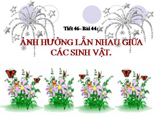 Bài 45. Thực hành: Tìm hiểu môi trường và ảnh hưởng của một số nhân tố sinh thái lên đời sống sinh vật