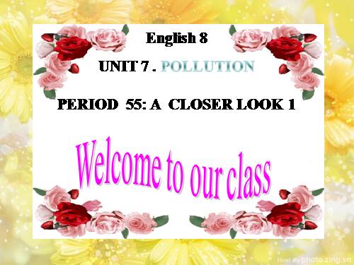 Unit 07. Pollution. Lesson 2. A Closer Look 1