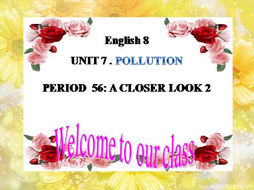 Unit 07. Pollution. Lesson 3. A Closer Look 2