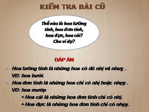 Bài 30. Thụ phấn