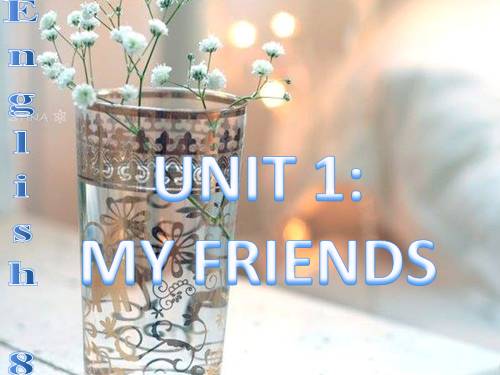 Unit 1. My friends