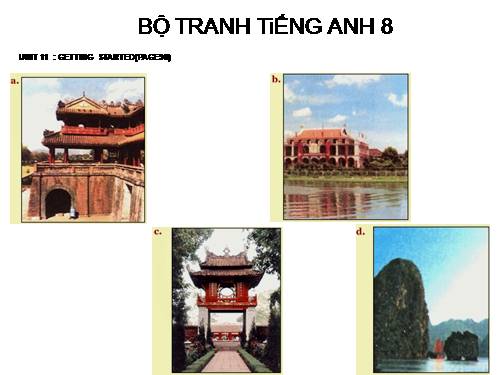 BỘ TRANH TiẾNG ANH 8 - UNIT 11