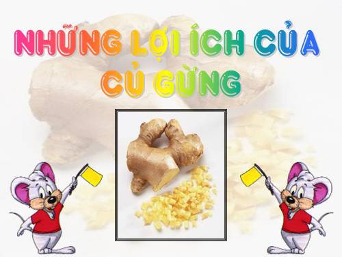 Những lợi ích của củ gừng