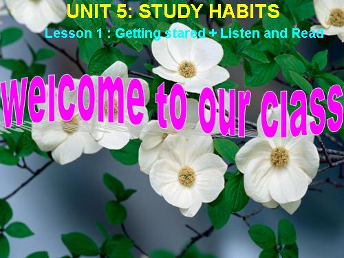 Unit 5. Study habits