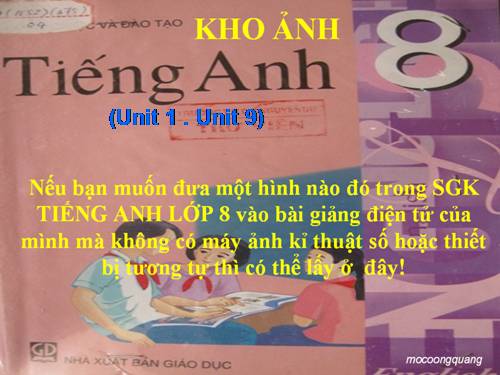 KHO ẢNH TIẾNG ANH 8 (UNIT 1-8)