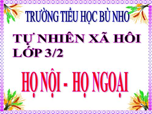 Bài 20. Họ nội, họ ngoại