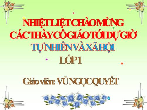 Bài 6. Chăm sóc và bảo vệ răng